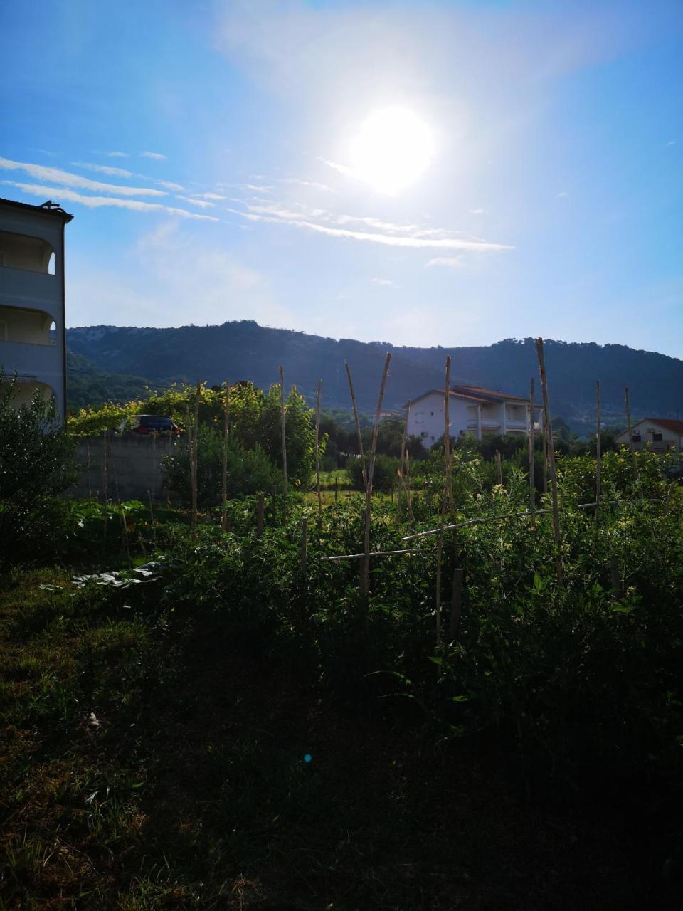 Apartment Zekija Barbat na Rabu Экстерьер фото